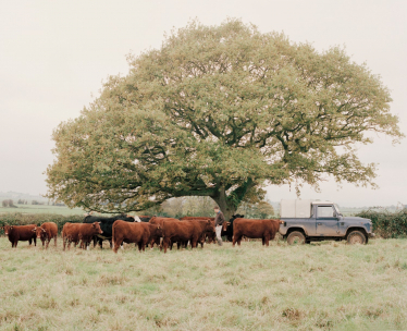 Farming